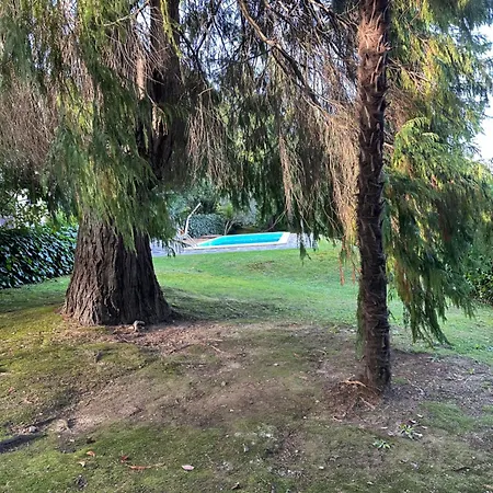 Appartamento Dimora Vista Con Piscina