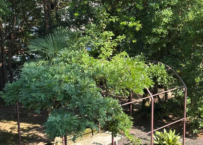 公寓 Dimora Vista Con Piscina *